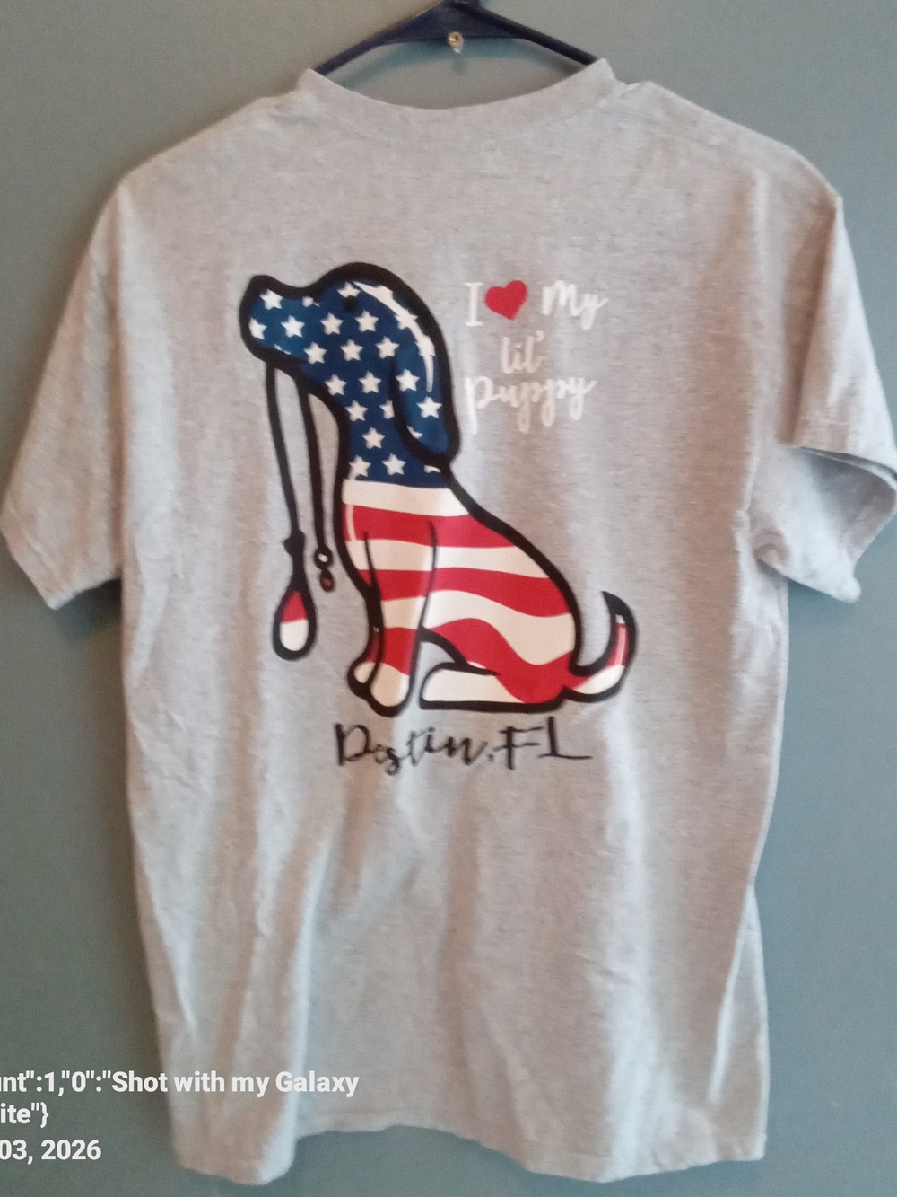 Gildan Gray Tee with Red White & Blue American Flag Dog Graphic
